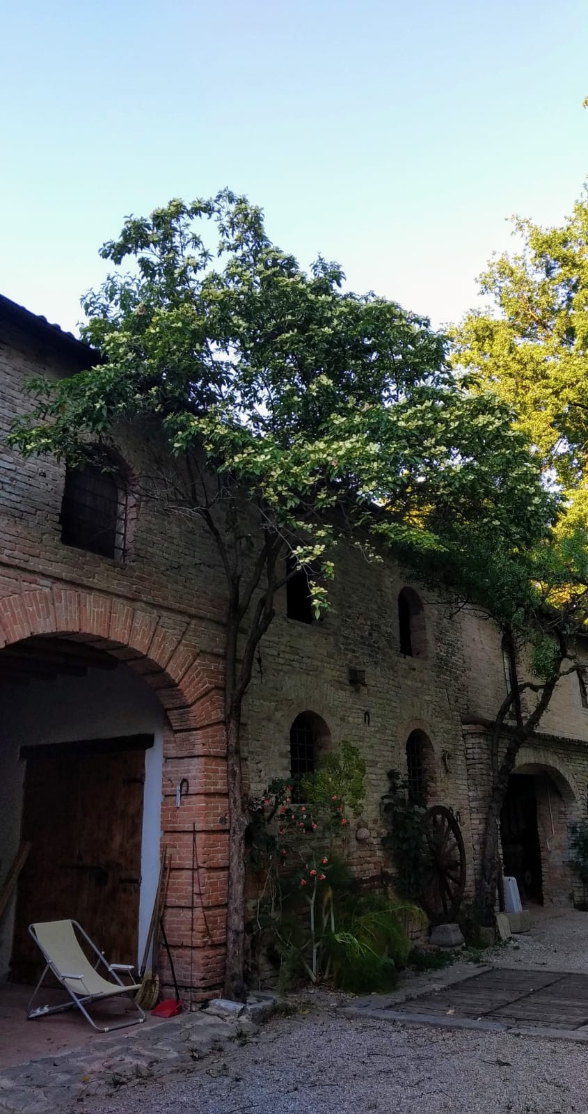 Imparare natura, tradizioni e storie a Villa Petrobelli di Maserà